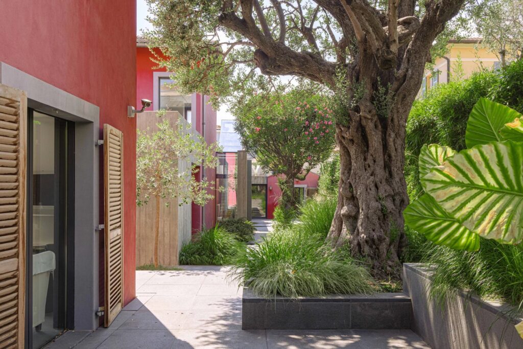 1ff00823844924de577b76d68fc43cb0_48944941d0_1920-original