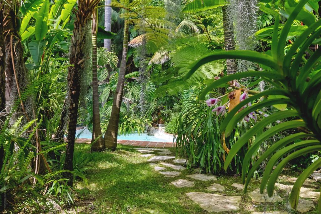 50bdef03f5b3d007112c342156b23936_f4cd9c410d_1919-original