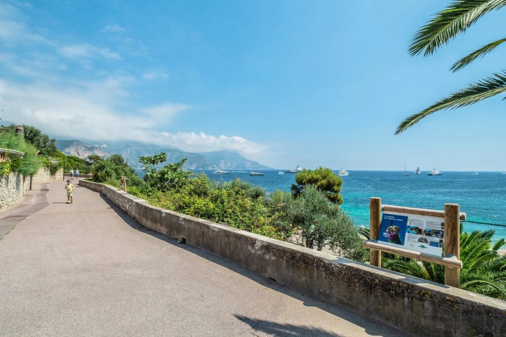 6bd2e191f9418bc89a4f4843b03ac443_e11a611542_1920-original