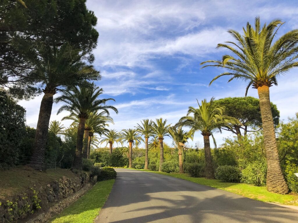 7347f6ba5369c77f94ddbb965677074d_f8b38e8eff_1920-original