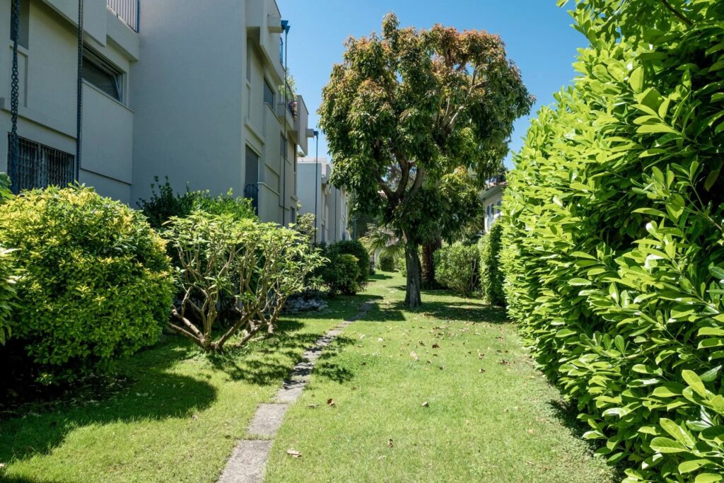 808d0533e6f52e6d1cbb8e3a18bb294e_ab988f5ddf_1920-original