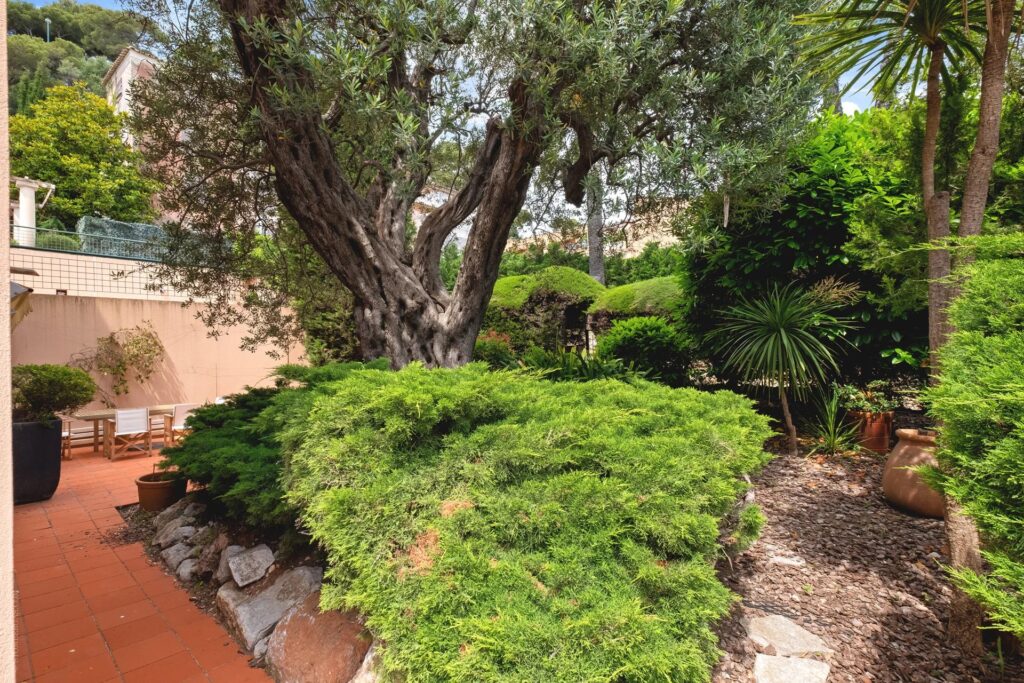 8154b924e8e1f93955cfbb66b6b185f9_0aba0b171c_1920-original