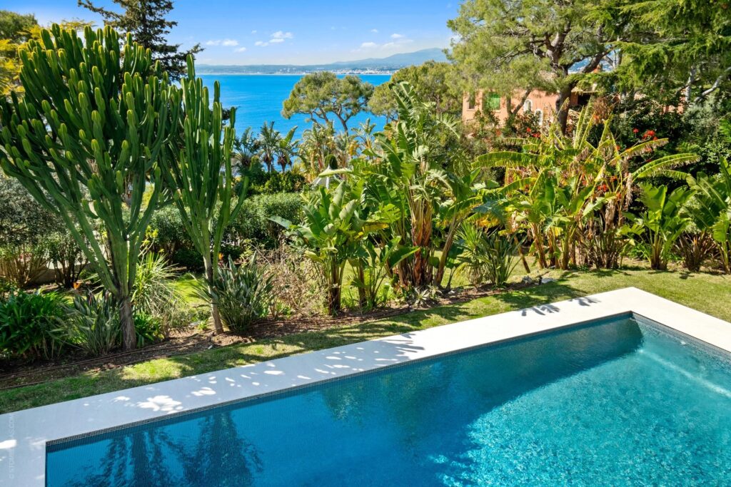 869e1851f04bf03c3a8f0eaf2e1ef5dd_225cc29dd1_1920-original