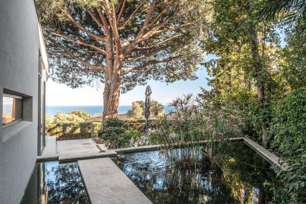 9524b5b28353c4090e08568931c5149d_6322b64815_1920-original