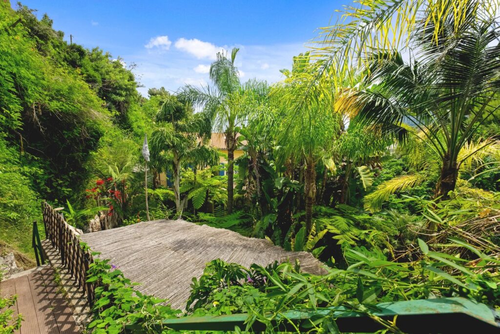 aebfdc30176d3e35e16cc4ea5928c5ba_7a475b2323_1919-original