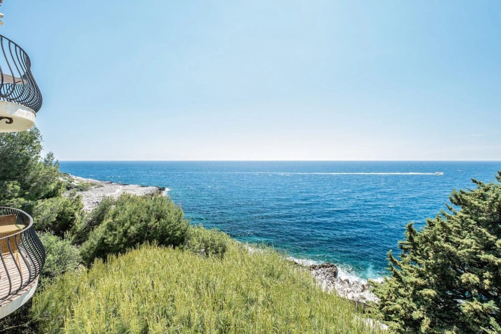 c911a25c591717458a9b1cc7c154288d_a1215167d8_1469-original