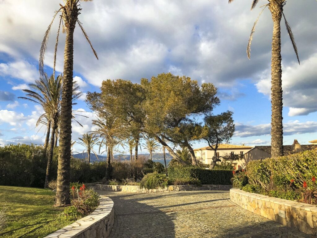 d09784edc34b32242195f6b6204091dc_d60fc2ab74_1920-original