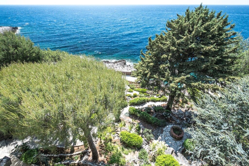 d9fcca089762ee667031b61d462d8bee_04e51f9740_1469-original