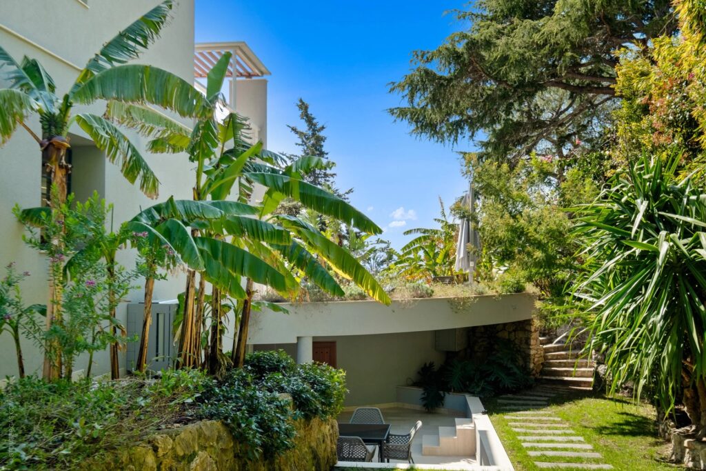 e0d007a12f4cf0d050d8348e2c8908d0_b99b3b8c54_1920-original